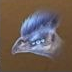 Hongque [Temporary]