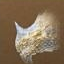 10,000 Years · Bone Dragon [Temporary]