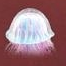 50,000 Years · Chongyan · Pearl-String Jellyfish [Temporary]